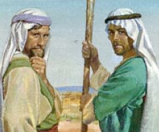 215A-Image Laman Lemuel