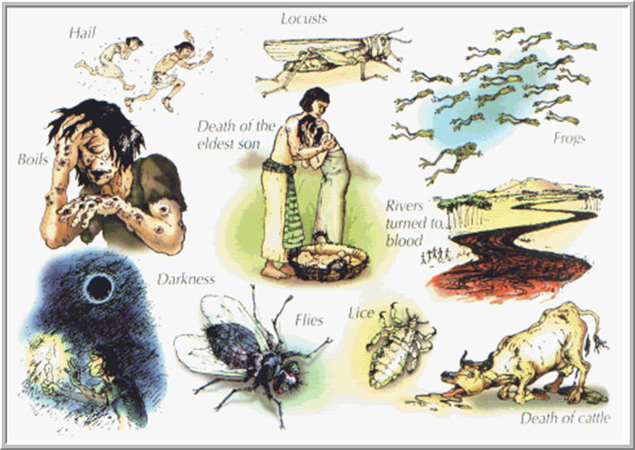 Image result for The Lord sends plagues upon Egypt.
